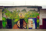 La Flor del Café Outside Wall Mural